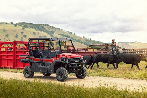 Three-quarter angle of a parked side x side and a person with cattle. opens in a new window