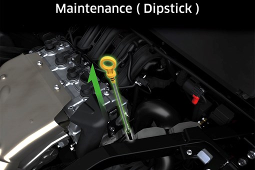 Graphic treatment showing access to the engine oil dipstick of a side x side. opens in a new window