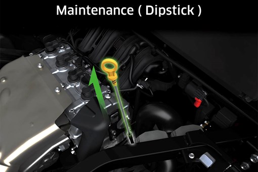 Graphic treatment showing access to the engine oil dipstick of a side x side. opens in a new window
