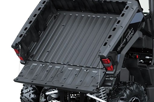 View of a cargo bed of a side x side in raised position with the tailgate down. opens in a new window