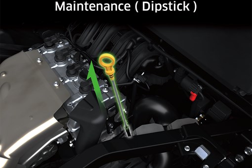 Graphic treatment showing oil dipstick access of a side x side. opens in a new window