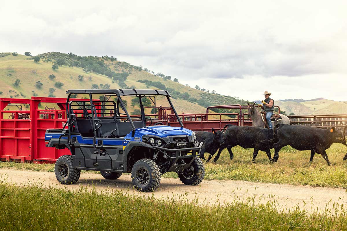 Side angle of a blue side x side parked off-road.