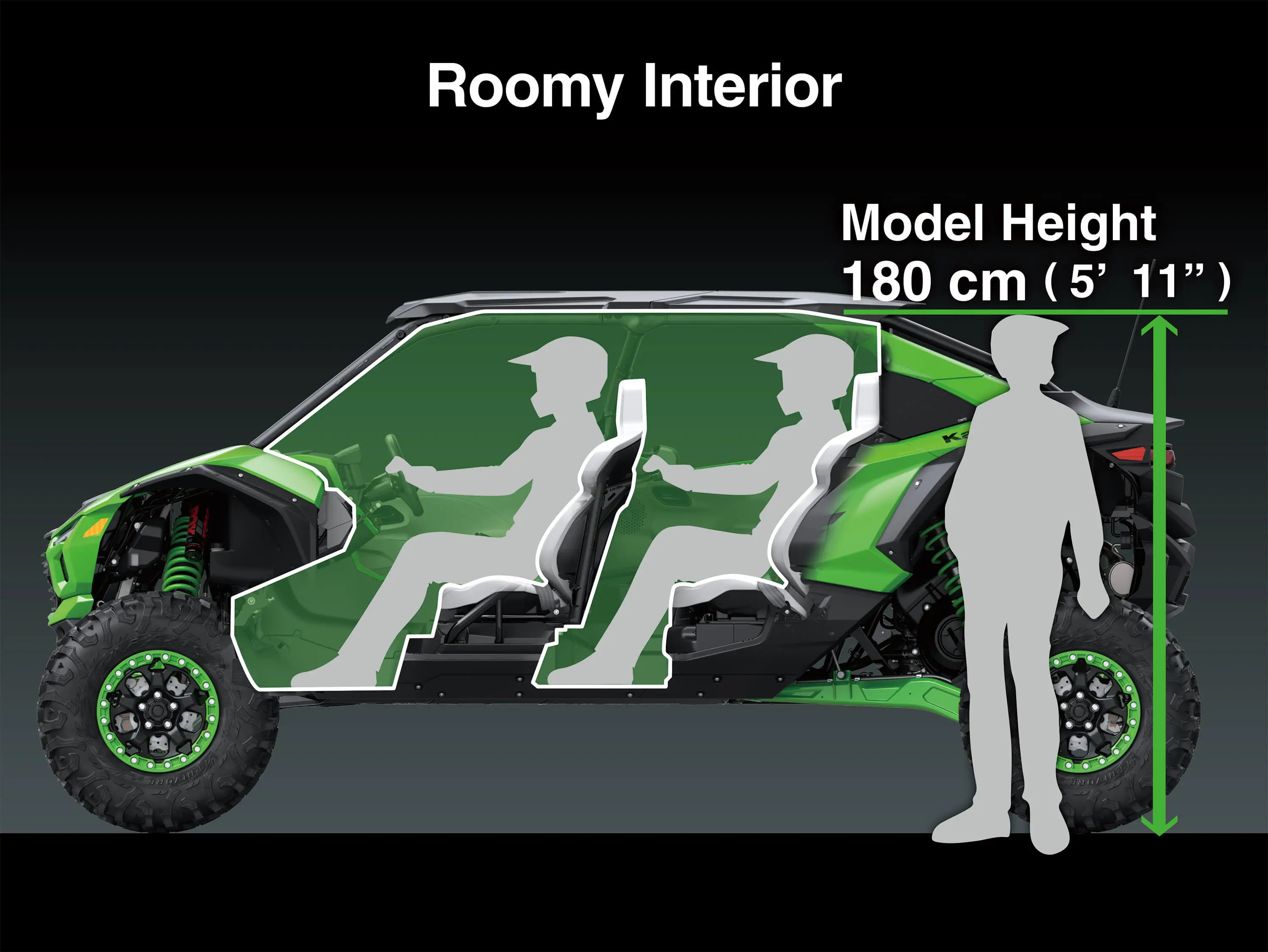 Graphic treatment of a side x side roomy interior.