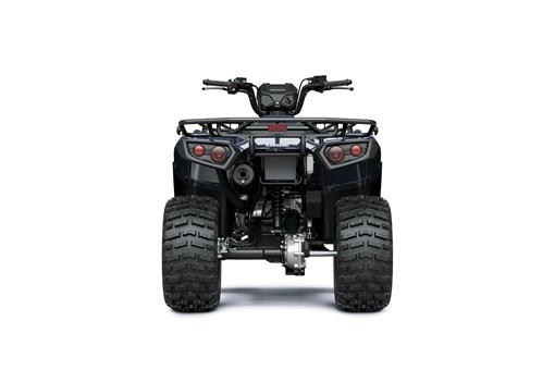 Back angle of an ATV staged in a white studio background. opens in a new window