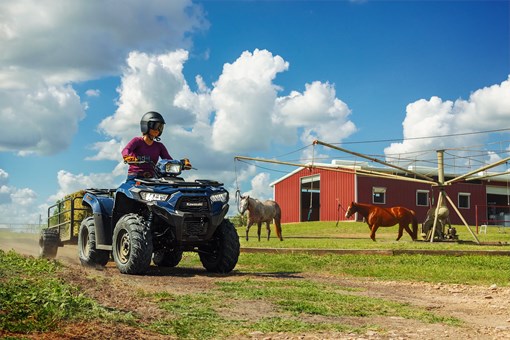 2026 BRUTE FORCE® 450 4x4 opens in a new window