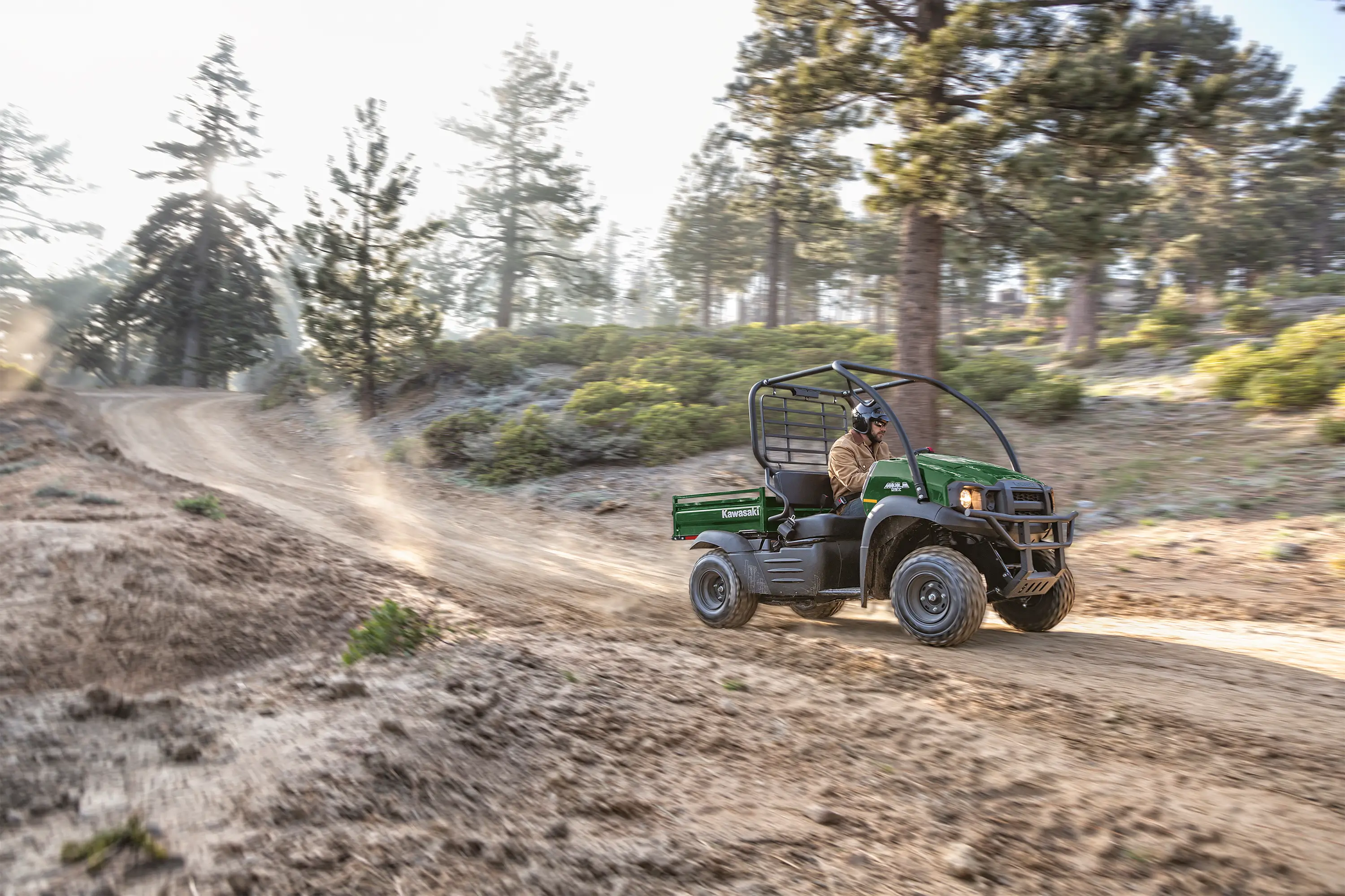 Front three-quarter angle of a person driving a side x side on a forest road with pine trees.