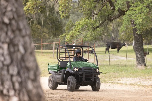 Three-quarter front angle of a person driving a side x side with a cow in the background. opens in a new window