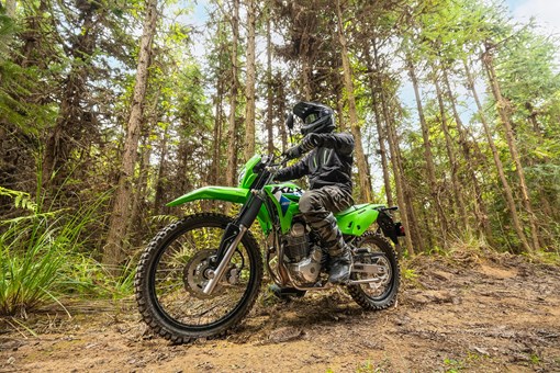 Side angle of a person riding a motorcycle on a wooded trail. opens in a new window