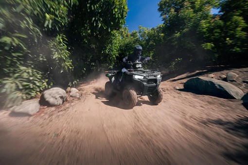 A person riding fast on a utility ATV on a road through an orchard. opens in a new window