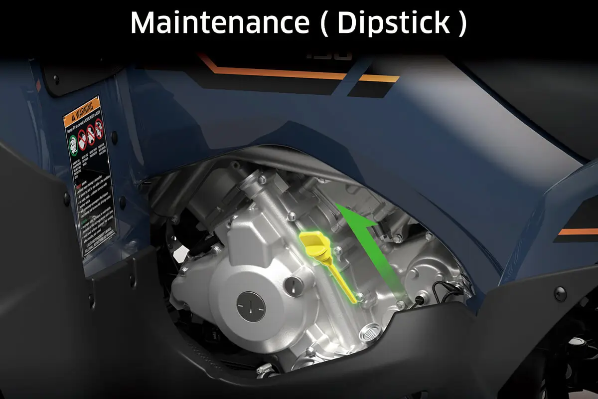 Cutaway image showing how to access the oil dipstick of an ATV.