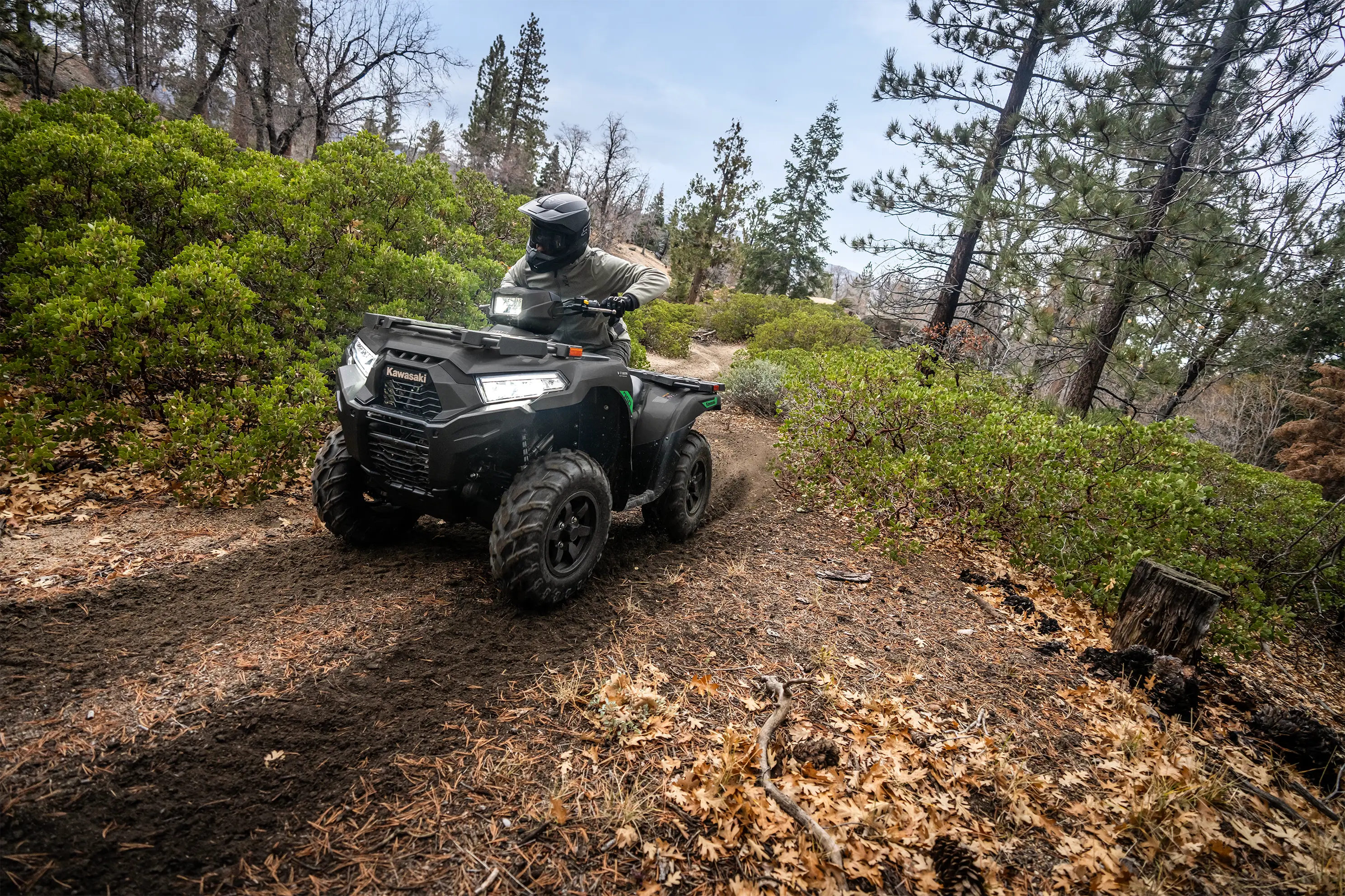 Person riding a utility UTV through on a double-track trail in the forest.