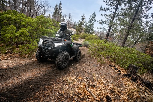 Person riding a utility UTV through on a double-track trail in the forest. opens in a new window