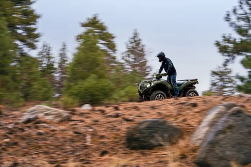 A person riding a utility ATV on a road with pine trees in the background. opens in a new window