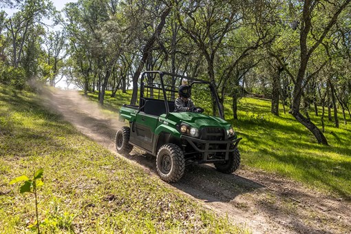 Person driving a green side x side down a scenic dirt road with trees. opens in a new window