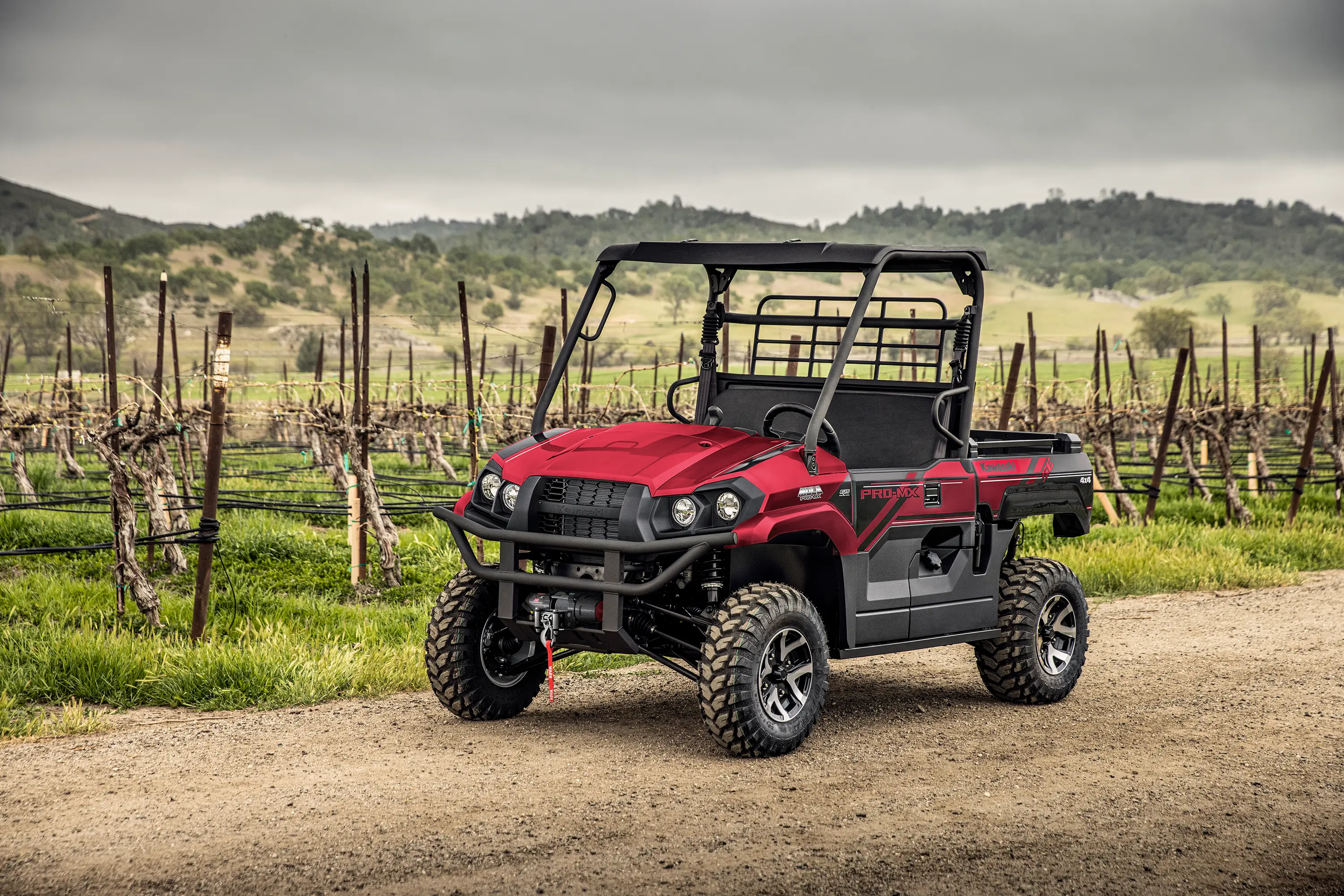 Red side x side parked in front of grape vines.