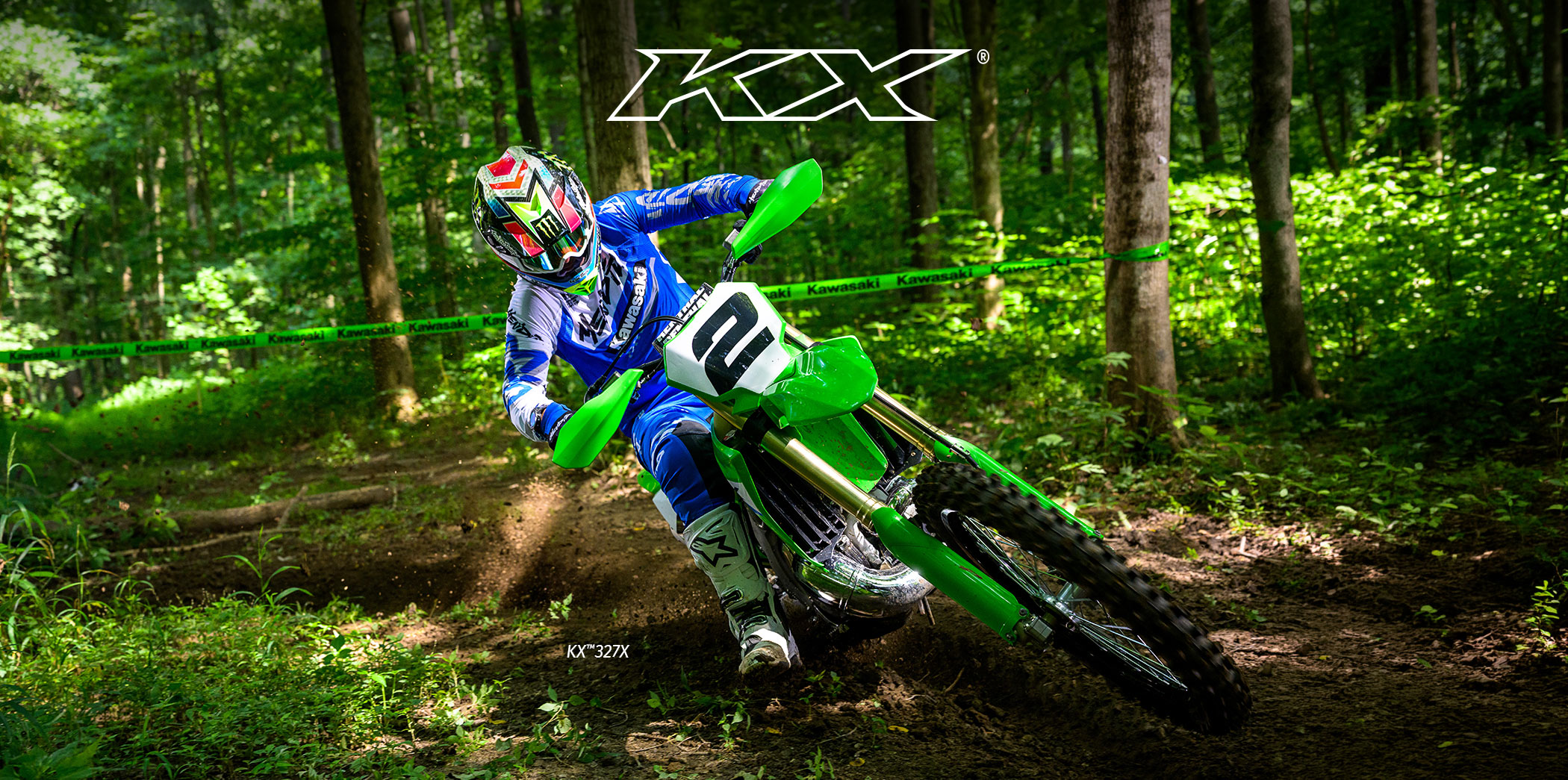 KX FAMILY: KX450