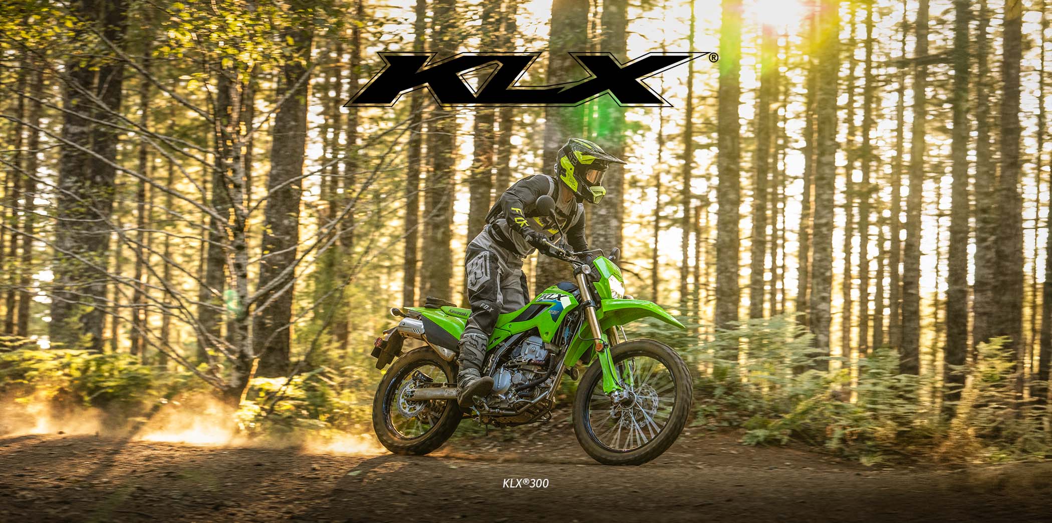 KLX FAMILY: KLX 300