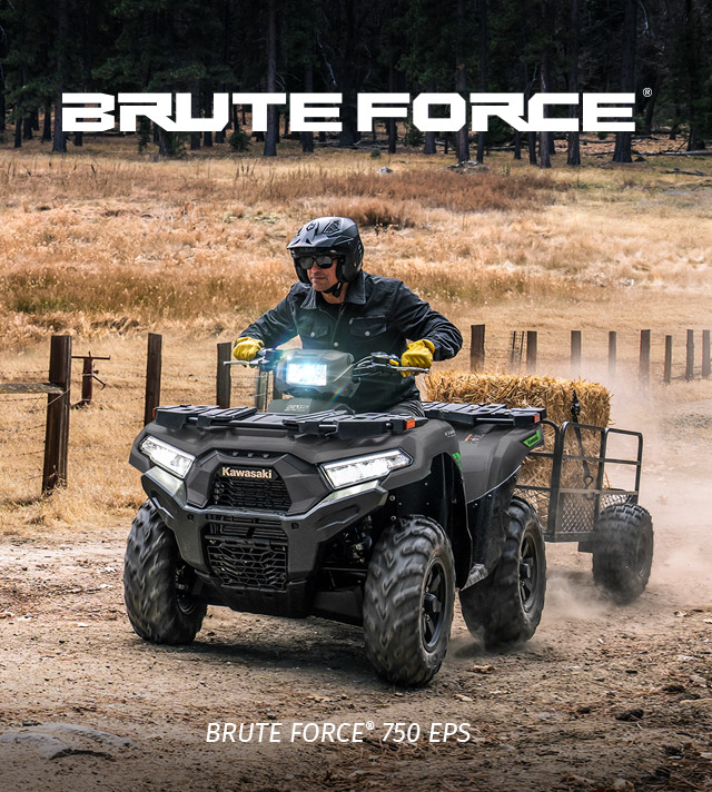 Brute Force FAMILY: SMALL IMAGE