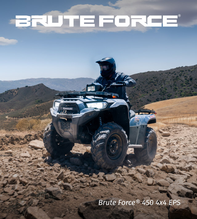 Brute Force FAMILY: SMALL IMAGE
