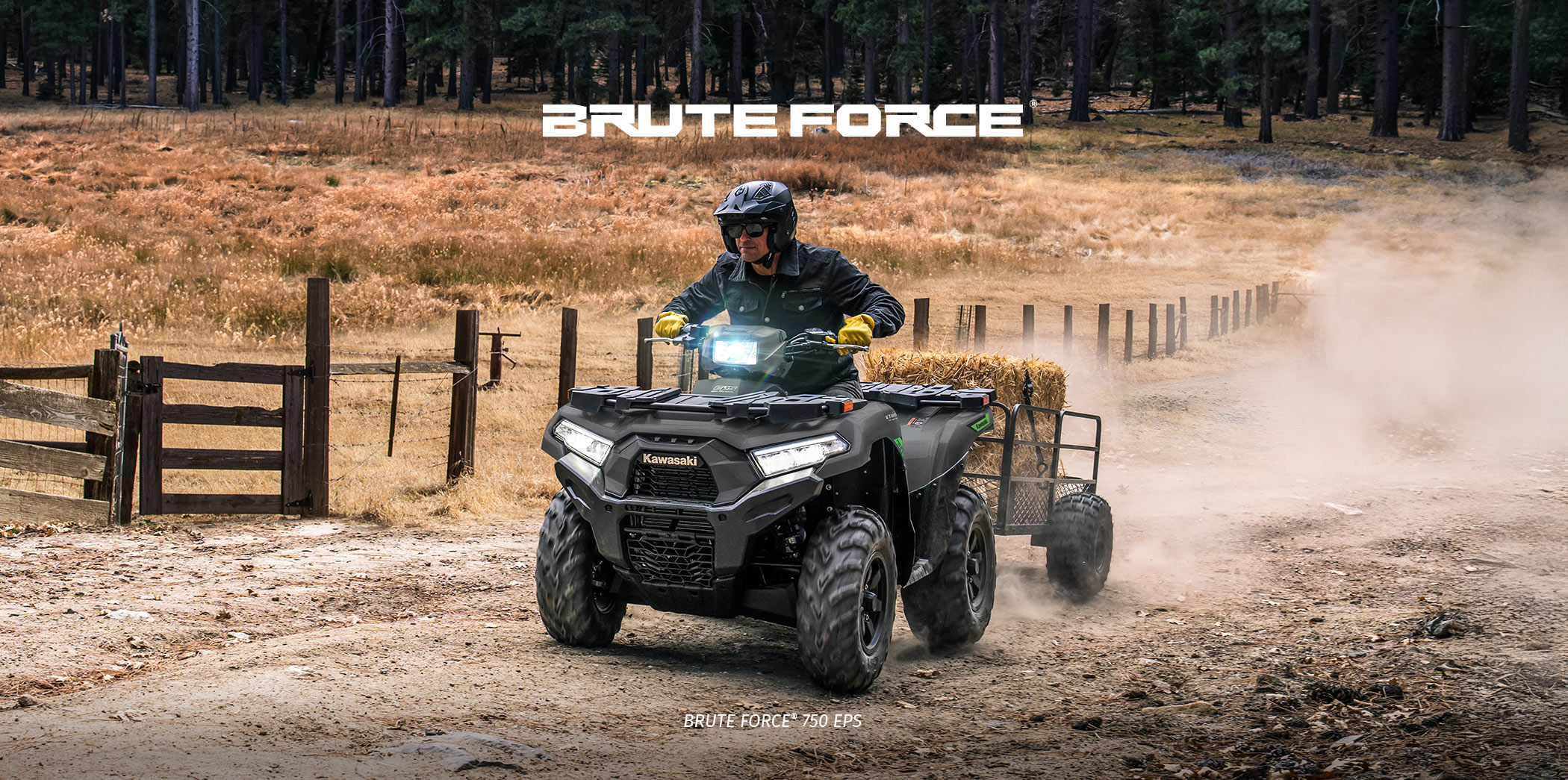 Brute Force FAMILY