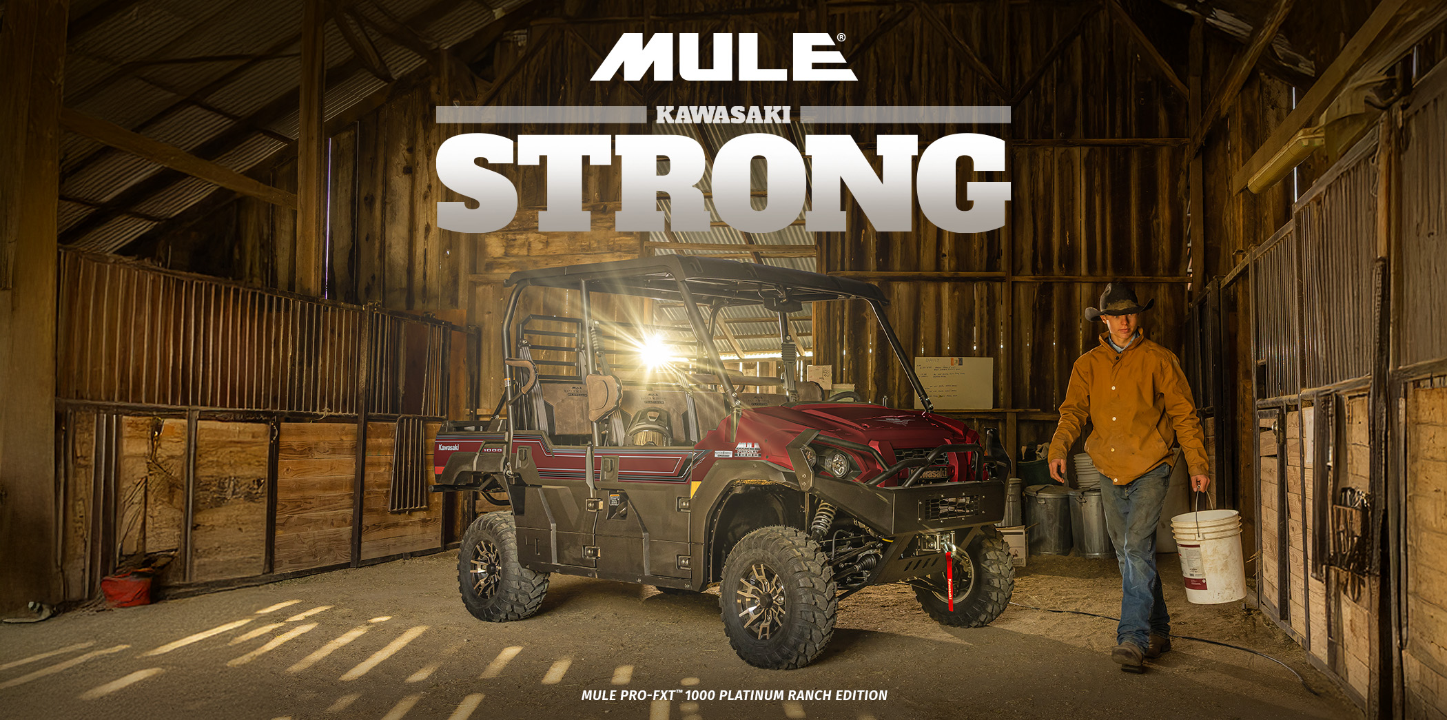 mule strong