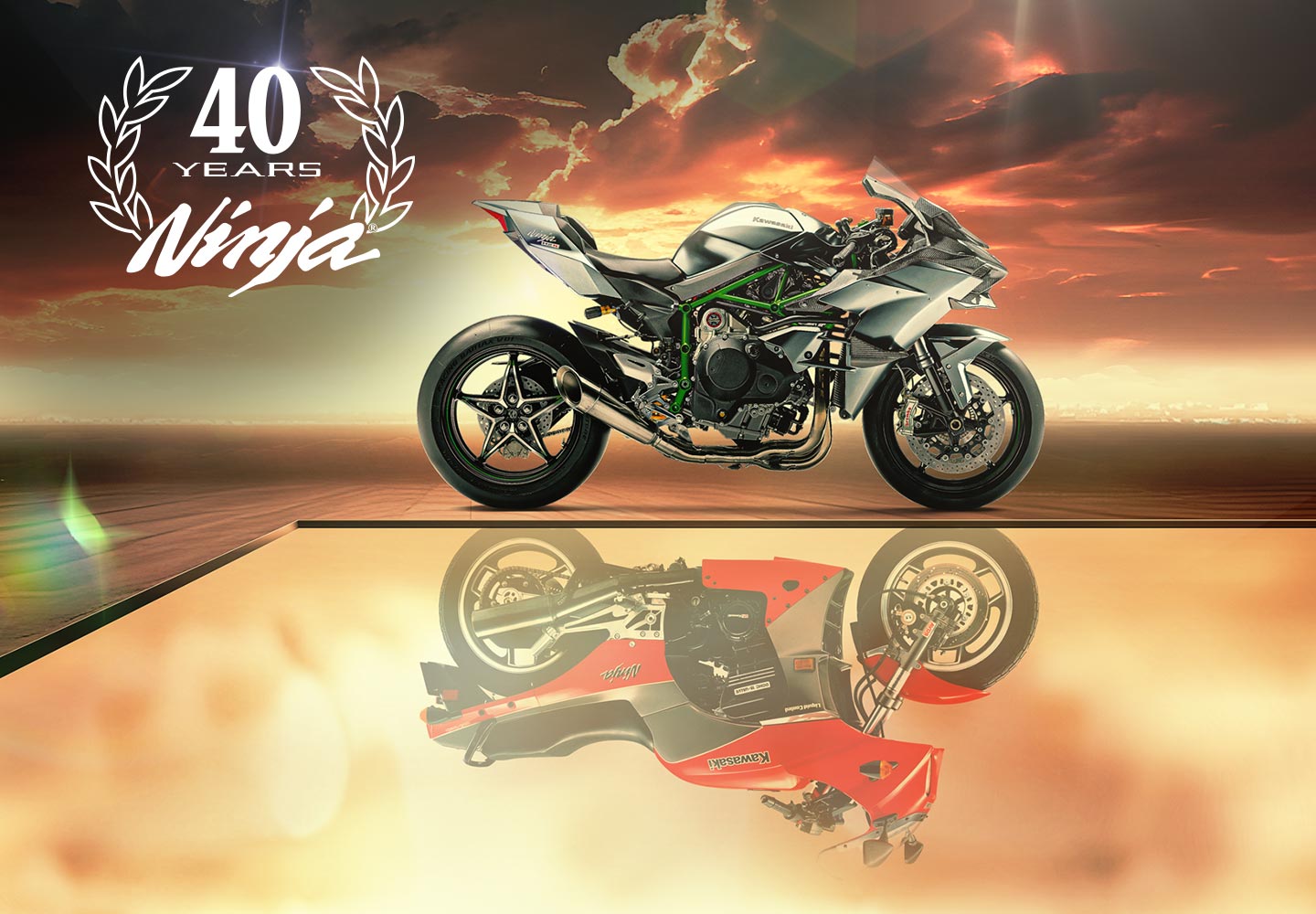 Ninja® 40 year anniversary.