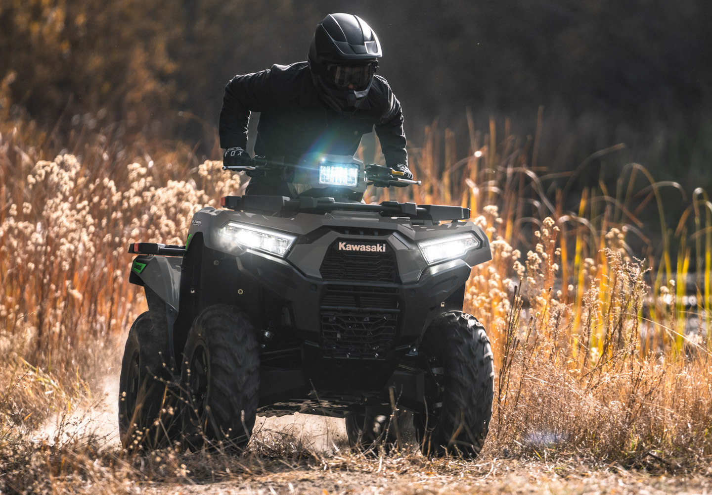 KAWASAKI Brute Force