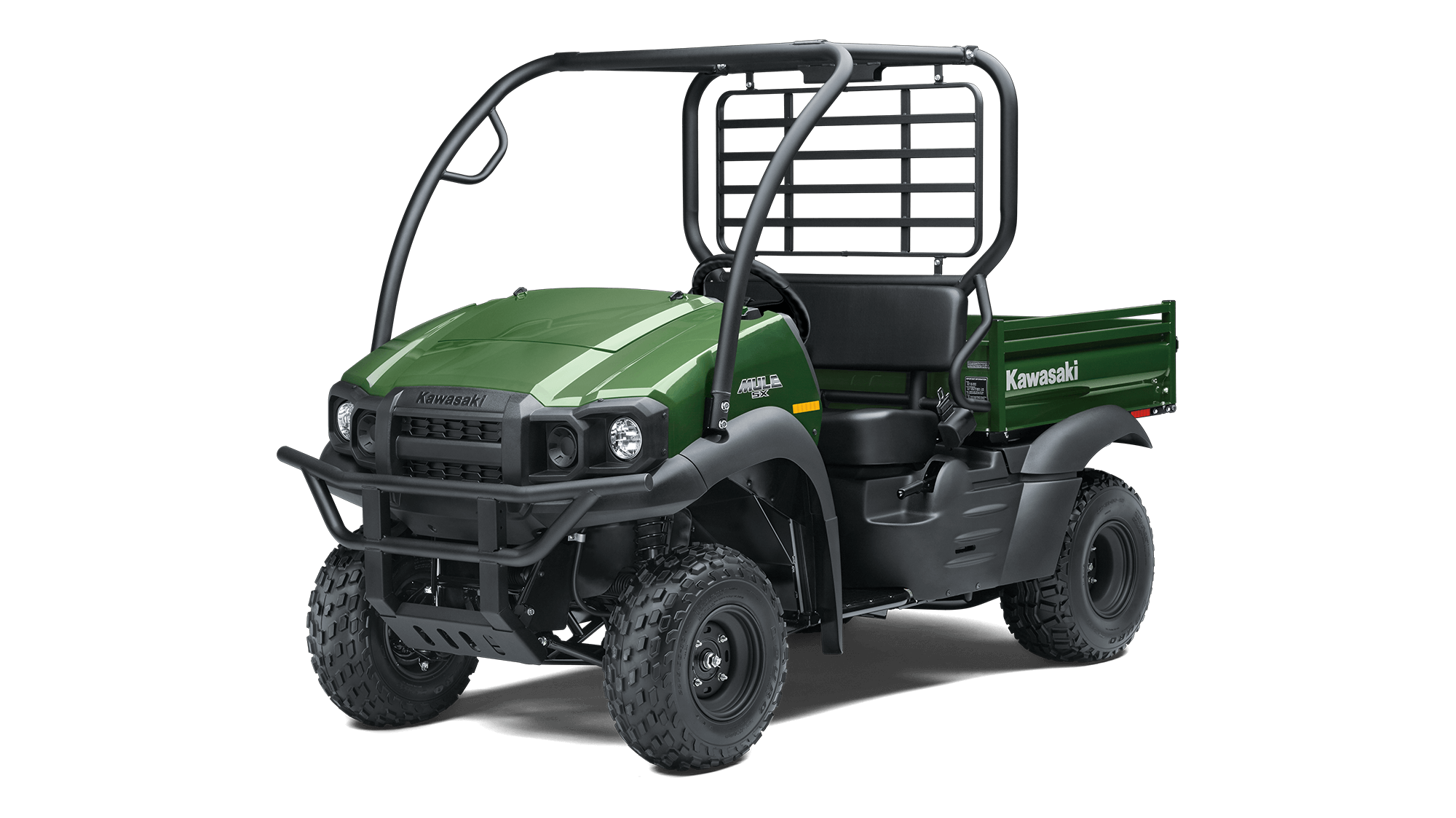 Photo of a mule sx
