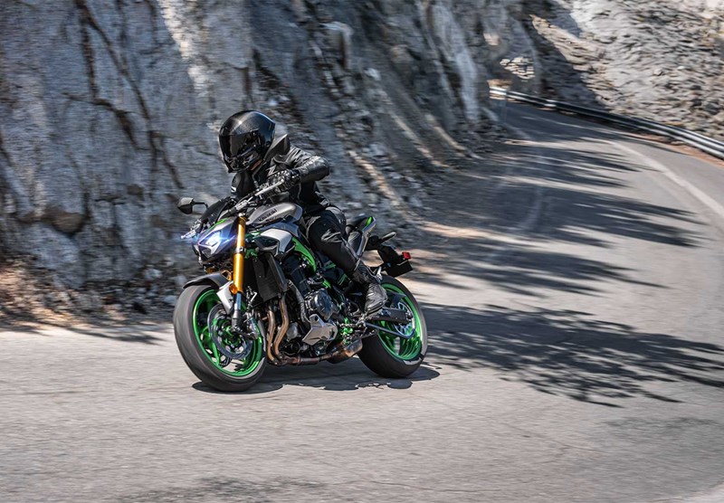 Electronic Riding Support Technology 