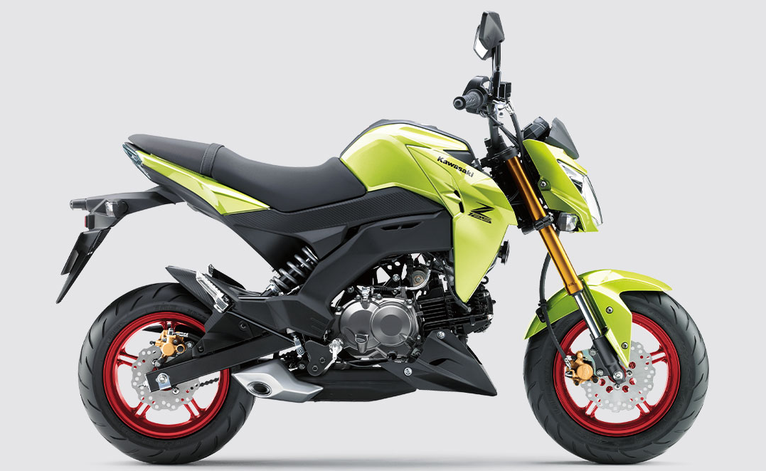 Kawasaki Z125 PRO | Naked Motorcycle | Nimble & Peppy