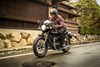 2022 W800 CAFE 