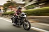 2022 W800 CAFE 