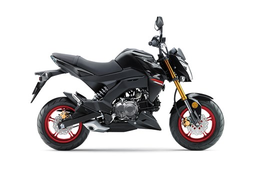 2022 Z125 PRO 