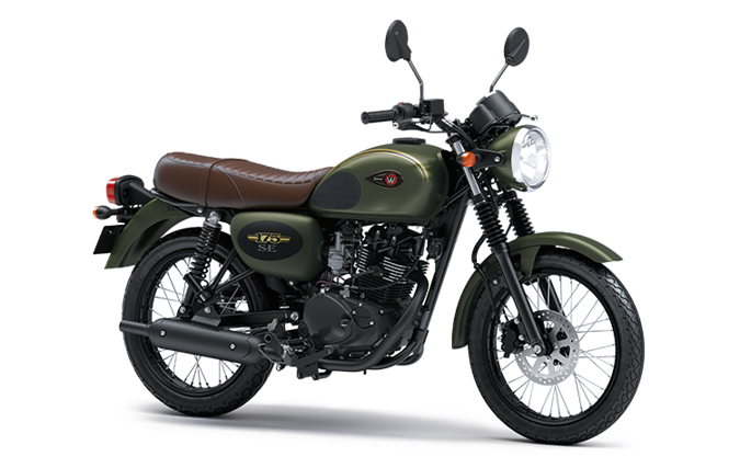 Metallic Matte Covert Green