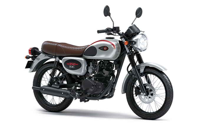 Metallic Resplendent Silver