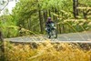 2023 KLX230 S