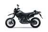 2023 D-TRACKER X