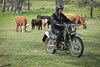 2023 STOCKMAN