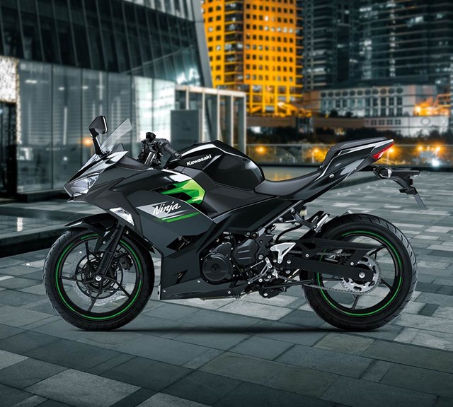 Image of 2023 NINJA 250 in action