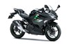 2024 NINJA 250