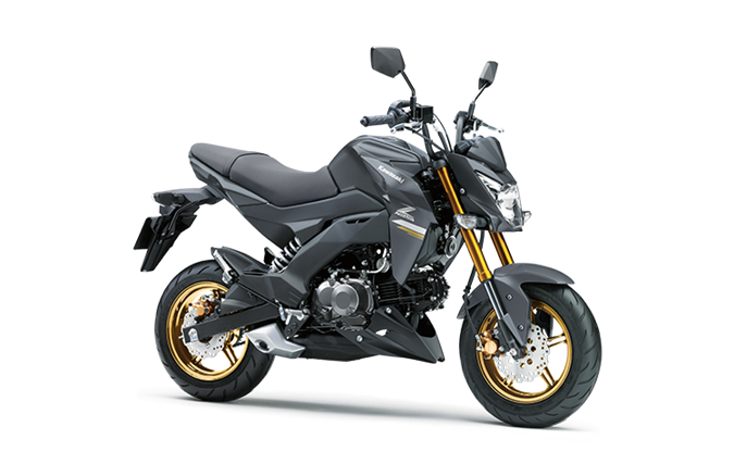 Metallic Matte Dark Gray