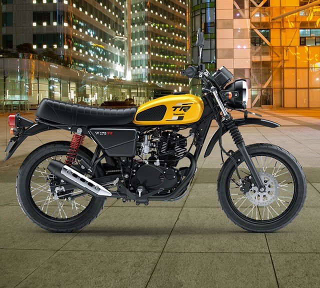 Image of 2024 W175TR in action