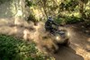 2025 BRUTE FORCE 300