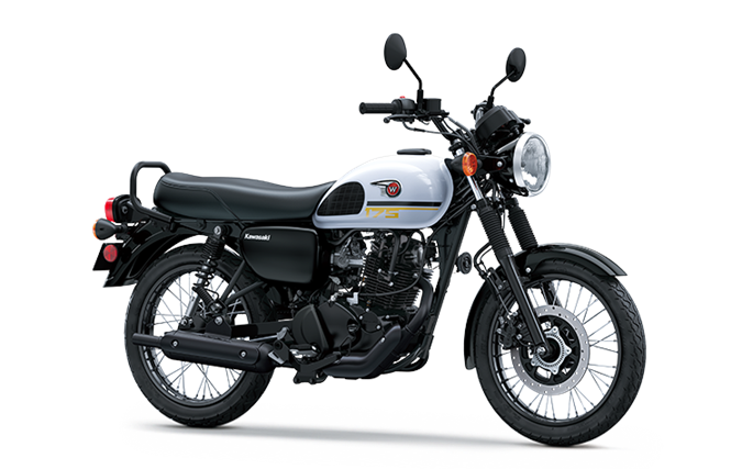 Pearl Stardust White 