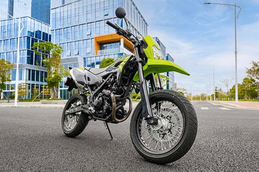2027 KLX230SM
