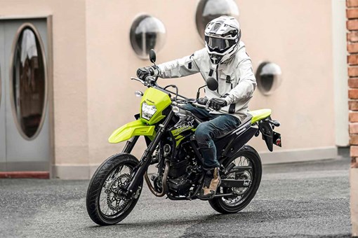 2027 KLX230SM