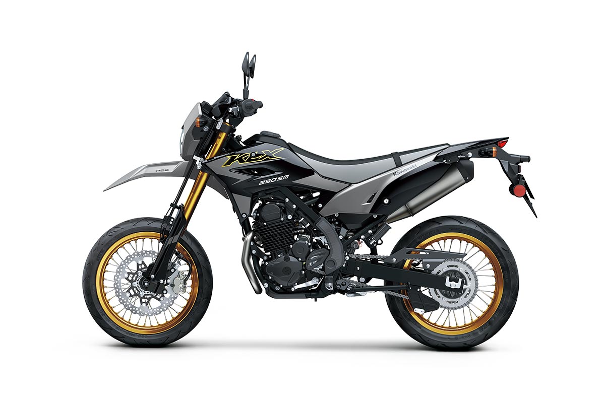 2027 KLX230SM SE