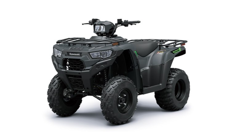 BRUTE FORCE 300
