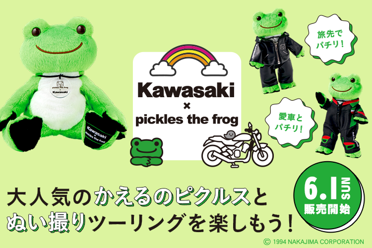 かえるのピクルス　まとめ売り かえるのピクルス まとめ売り かえるのピクルス公式オンライン