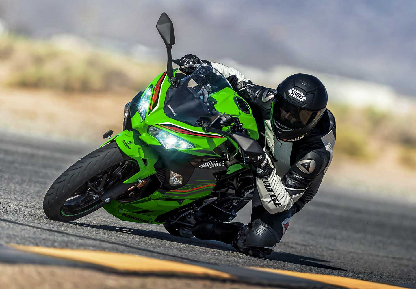 Ninja250SE ニンジャ250  Kawasaki カワサキ カワサキ ニンジャ 250 ABS スペシャルエディション 2016年式 EX250Lの